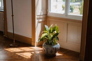 Geoffrey Arnoldy - Photographe - 5