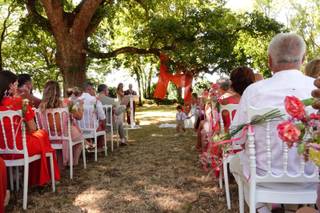 Amalgame Events - 6