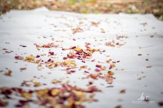 Mickael Tollemer - 5