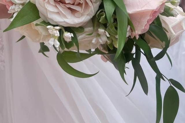 Fleurs de France 1