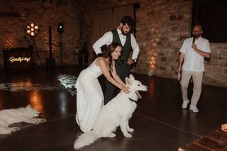 CHD events - 8