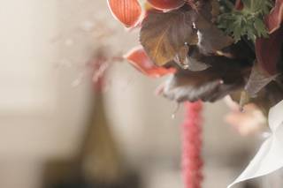 Zennaro Photographie - 7