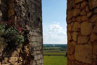 Château Langoiran - 15