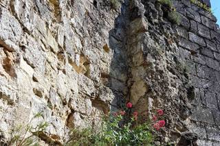 Château Langoiran - 16