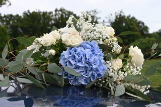 Florilys - 4