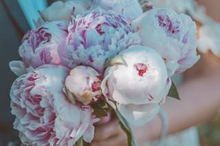 Ines Safir Photography - 12