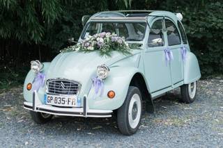 Calie 2 CV - 7