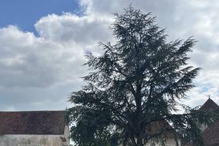 Domaine de Bontemps - 6