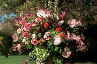 Château de Saint Georges - 18