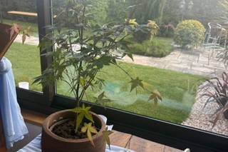 Ozéo Décor - 9