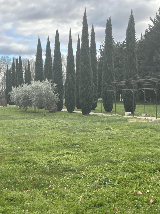 Domaine de Rochegude - 2