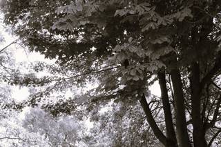 Le Bonheur en Image - 10