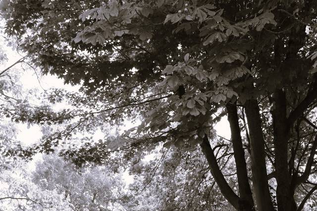 Le Bonheur en Image 2