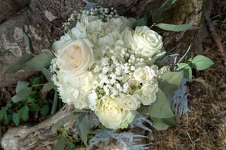 Fleurambulle - 20