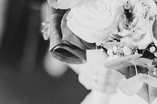 Nolwenn Demassard Photographie - 7