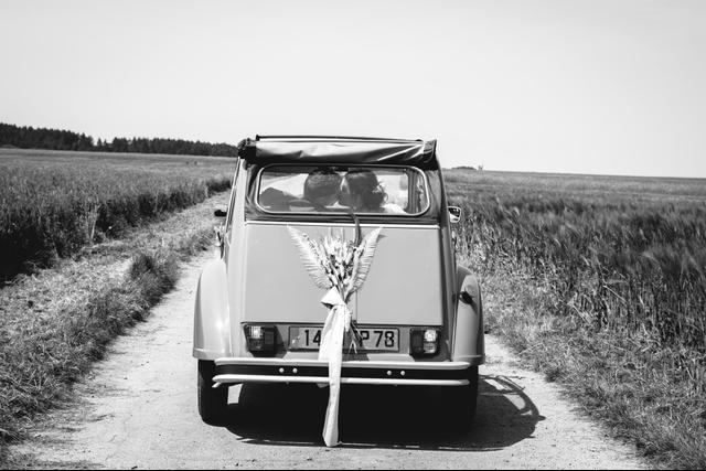 D.Laeti Photographie - 3