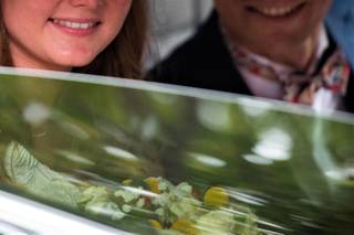Brahms Photographie - 36