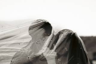 Fileto Production - 6