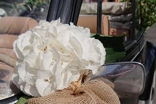 Eclosion Florale - 5