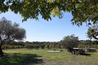 Domaine de Saint Amand - 14