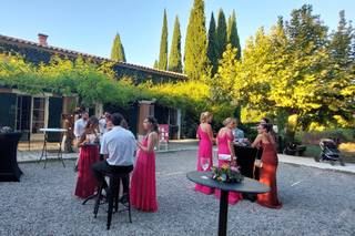 Le Mas Des Vignes - 6
