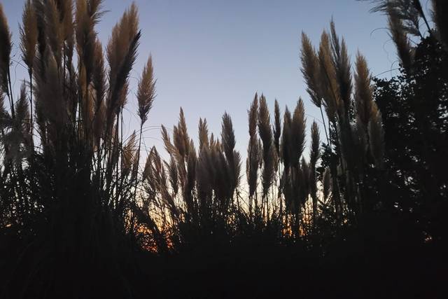 Domaine de Solomiac 3