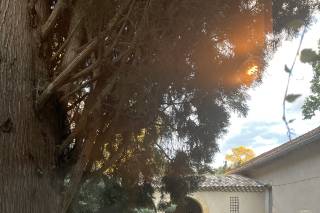 Château de l'Olivète - 7