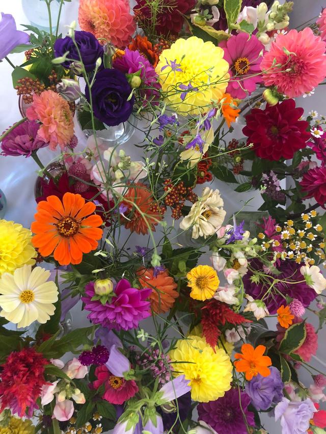 Luse Fleurs - 2