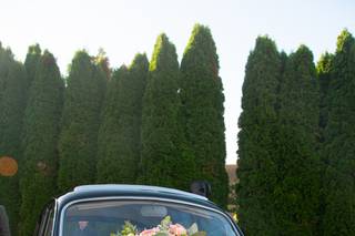 Flowers & Secrets - 5