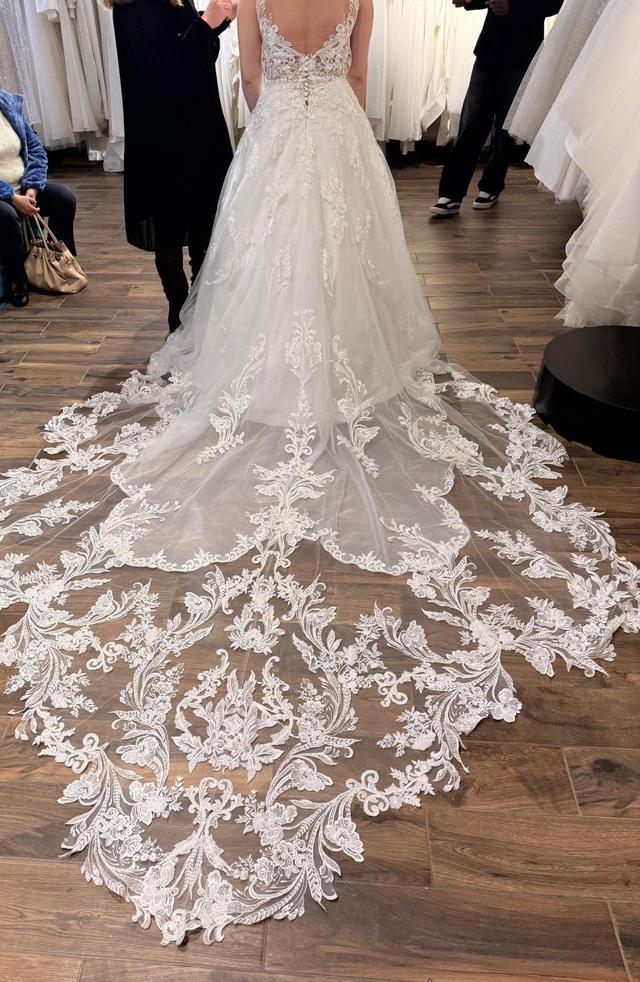 Promarried - 1