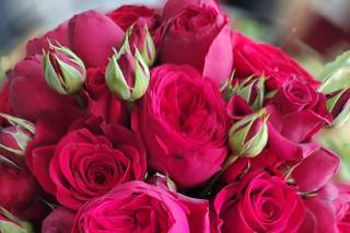 Les Fleurs Autrement - 7
