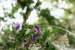 Erondes Fleuriste - 7