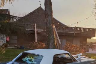 Mustang de Ben - 11