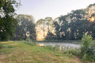 Domaine du Béron - 8