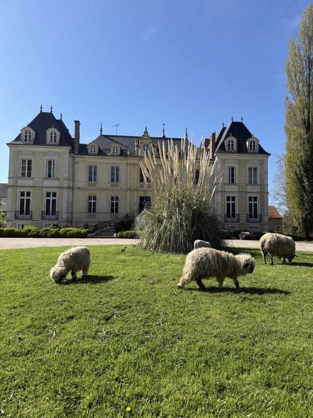 Domaine de Ouézy - 2