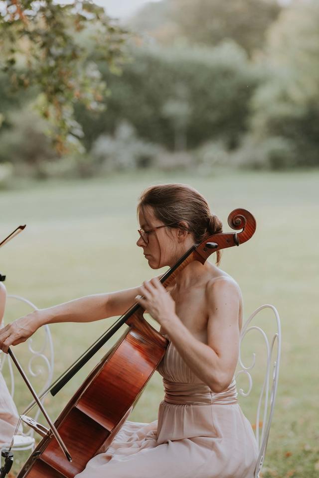 Ivana String Quartet - 2