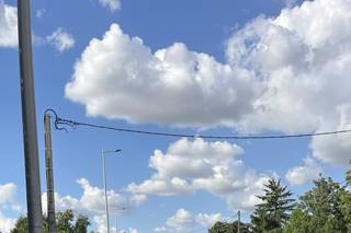 Gérard Dumortier - 5