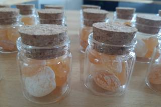 Les Belles Demois'Ailes - 7