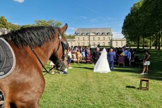 Château de Sainte Claire - 5