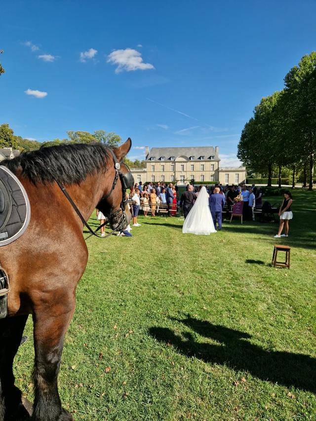 Château de Sainte Claire - 2