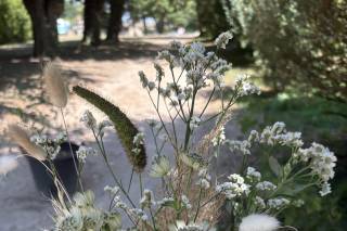 Le clos fleuri d’Emeline - 6
