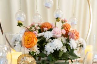 Fancy Celebrations - 5