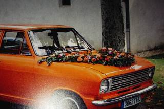 L'Amarante Pourpre - 6