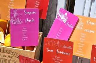 La Colonie de Trézien - 17