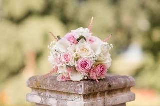 Johanna Sarniguet Photographe - 7