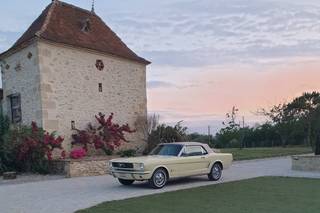 Domaine Le Herre - 6