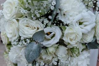 Passiflore - 4
