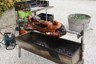 Porc Noir de Vincent - 5