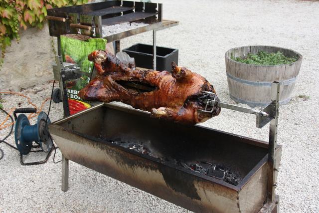 Porc Noir de Vincent - 3