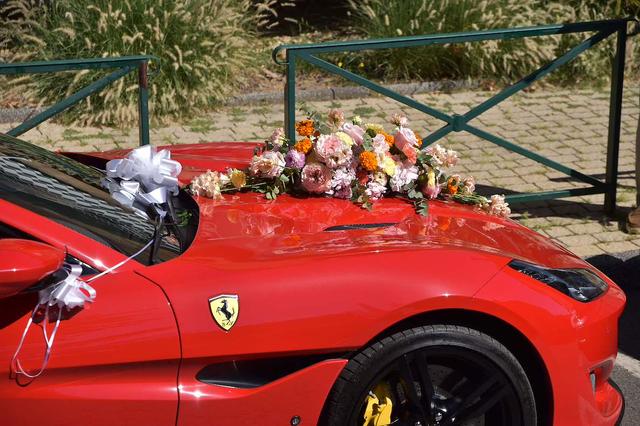 Fleur de Cé - 1